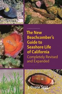 bokomslag The New Beachcombers Guide to Seashore Life of Californi