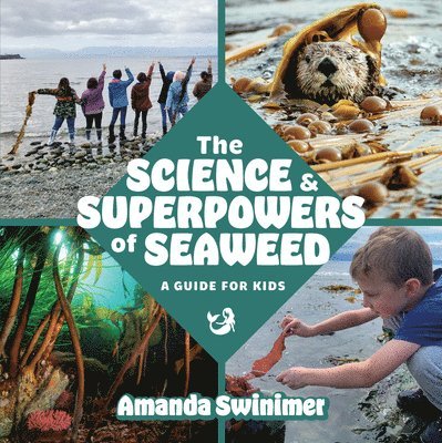 The Science and Superpowers of Seaweed 1