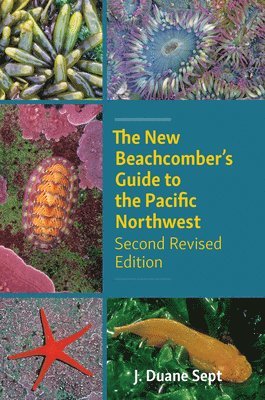 The New Beachcomber's Guide to the Pacific Northwest 1