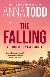 bokomslag The Falling