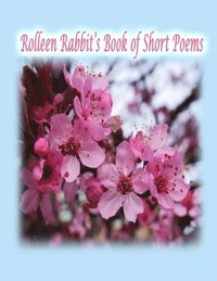 bokomslag Rolleen Rabbit's Book of Short Poems