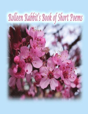 bokomslag Rolleen Rabbit's Book of Short Poems