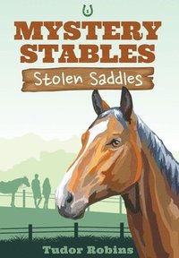 bokomslag Stolen Saddles