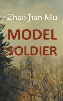Model Soldier 1