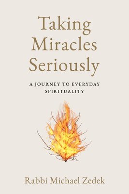Michael Zedek - Taking Miracles Seriously, Häftad