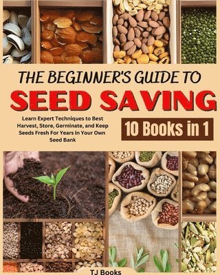 Beginner's Guide to Seed Saving