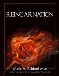 bokomslag Reincarnation