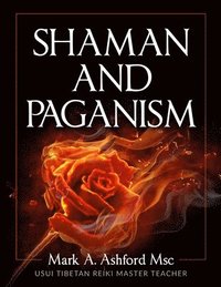 bokomslag Shaman and Paganism