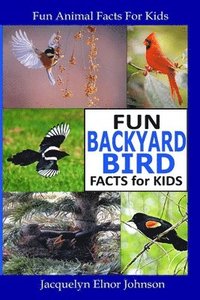 bokomslag Fun Backyard Bird Facts for Kids