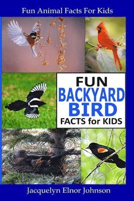 Fun Backyard Bird Facts for Kids 1