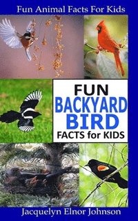 bokomslag Fun Backyard Bird Facts for Kids