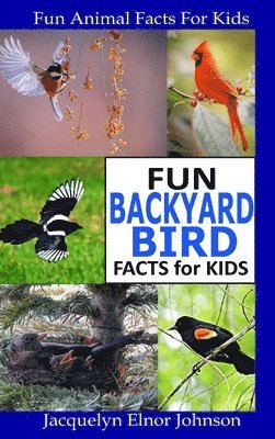 Fun Backyard Bird Facts for Kids 1