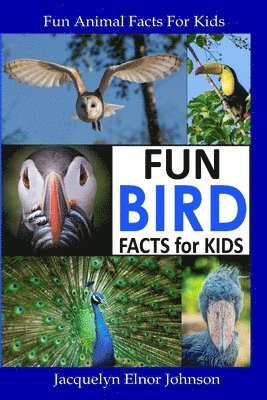bokomslag Fun Bird Facts for Kids