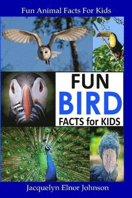 Fun Bird Facts for Kids 1