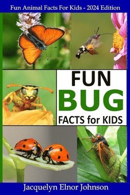 bokomslag Fun Bug Facts for Kids