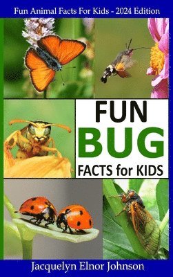 bokomslag Fun Bug Facts for Kids