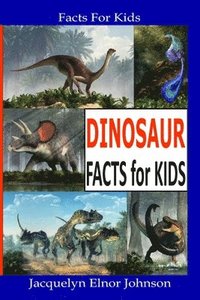 bokomslag Fun Dinosaur Facts For Kids