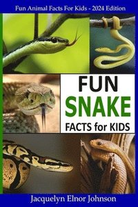 bokomslag Fun Snake Facts for Kids