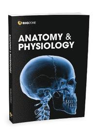 bokomslag Anatomy and Physiology