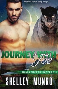 bokomslag Journey With Joe