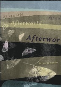 bokomslag Afterworld