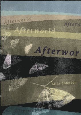 bokomslag Afterworld