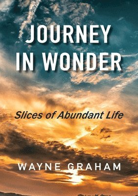 Wayne Graham - Journey in Wonder: Slices of Abundant Life, Häftad