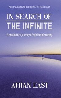 bokomslag In Search of The Infinite: A meditator's journey of spiritual discovery