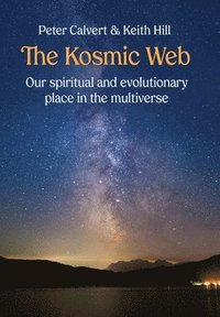 bokomslag The Kosmic Web