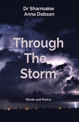 Through The Storm 1