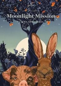 bokomslag Moonlight Mission