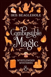 bokomslag Combustible Magic