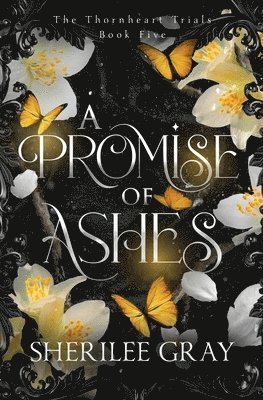 bokomslag Promise of Ashes