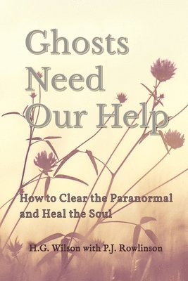 Ghosts Need Our Help 1