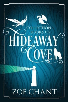 bokomslag Hideaway Cove