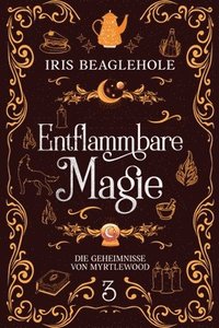 bokomslag Entflammbare Magie
