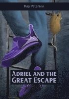bokomslag Adriel and the Great Escape