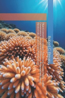 Robert C Brears, Robert C. Brears - Blue Economy Strategies, Häftad