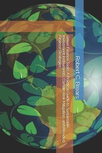bokomslag Green Finance Tools