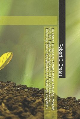 bokomslag Bio-Based Solutions for Climate Change