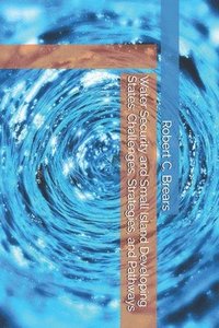 bokomslag Water Security and Small Island Developing States: Challenges, Strategies, and Pathways
