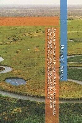 bokomslag Payments for Watershed Services