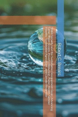 bokomslag Water Security and the Sustainable Development Goals: Advancing Clean Water Access, Poverty Reduction, Public Health, Gender Equality, Sustainable Agr