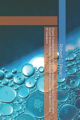 Digital Transformation in Water