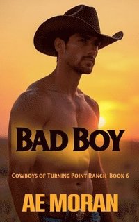 bokomslag Bad Boy