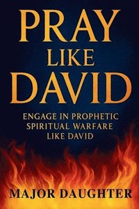 bokomslag Pray Like David