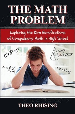 bokomslag Math Problem