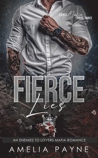 bokomslag Fierce Lies