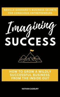 bokomslag Imagining Success
