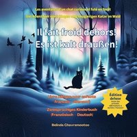 bokomslag Il fait froid dehors! / Es ist kalt draußen!: Les aventures d'un chat futé et curieux en forêt / Das Abenteuer einer klugen und neugierigen Katze im W